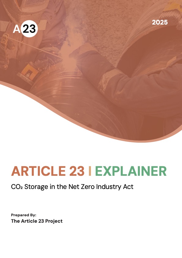 Article 23 –&nbsp;Explainer